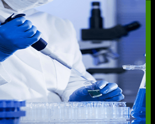 Laboratory Water Testing Services in Chennai